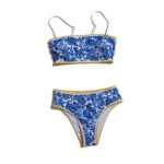 Women's Blue and White Pattern Two-Piece Beach Swimsuit Low-Rise Bikini