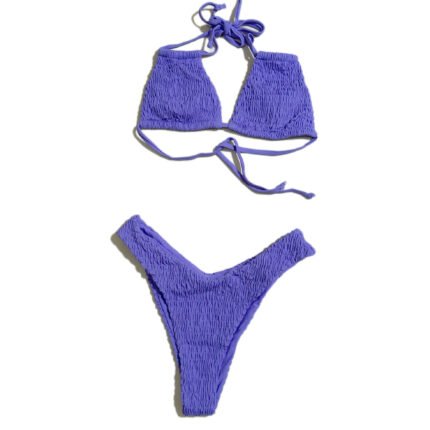 Women's Summer Swimsuit Purple Two-Piece Set, Fashionable Solid Color